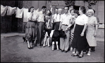 QQ Basseens n14.jpg